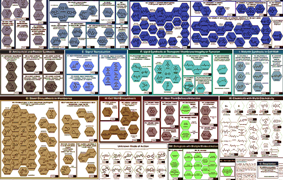 Na obrázku je ukázán diagram nebo tabulka FRAC kódů (Komise pro rezistenci vůči fungicidům), která se používá ke klasifikaci fungicidů na základě jejich mechanismu účinku pro řízení rezistence v zemědělství.