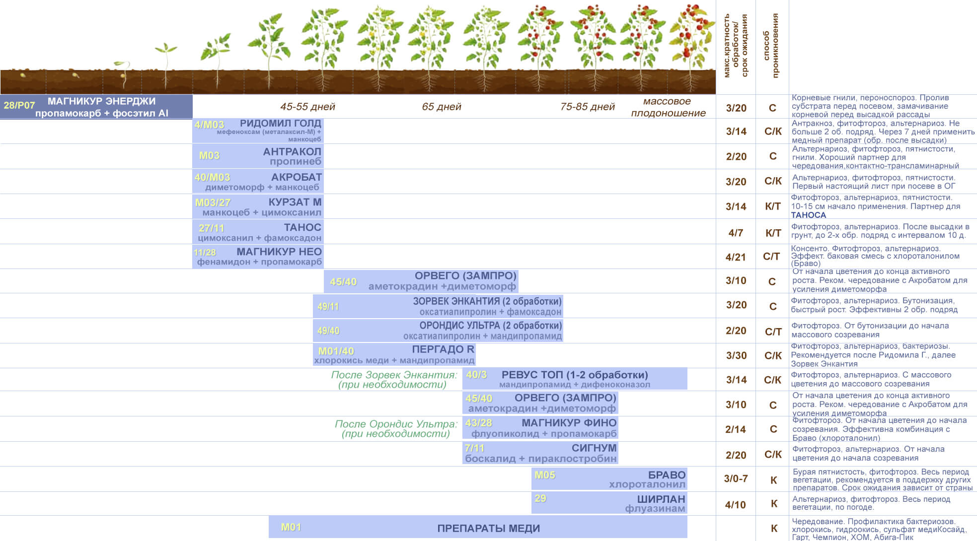 Schema der Behandlungen von Tomaten gegen Krankheiten