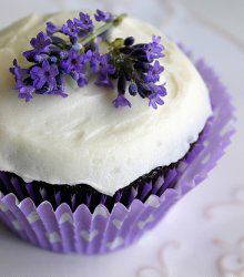 Lavendel in der Küche