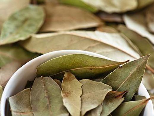 Laurel leaf, treatment with laurel