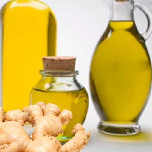 Ginger Essential Oil