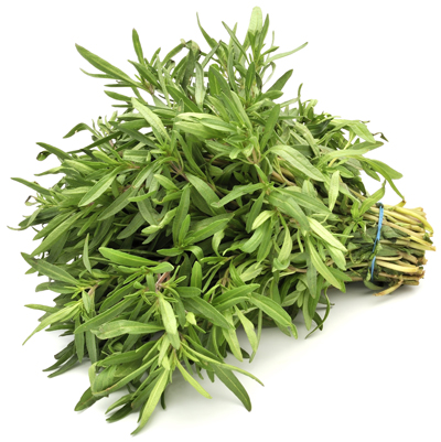 Savory herb