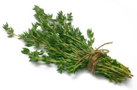 Thyme stems