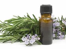 Rosemary Essential Oil