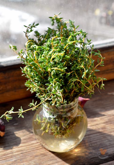 Thyme