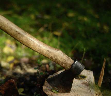 The axe is inserted into the tree stump