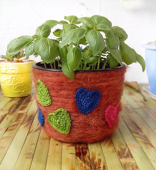 Basil in a pot