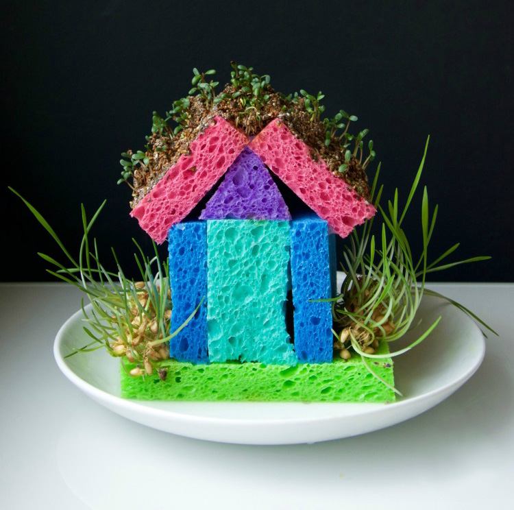 Sprouting sponge house