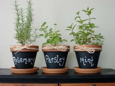 Windowsill garden