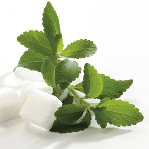 Hojas de stevia