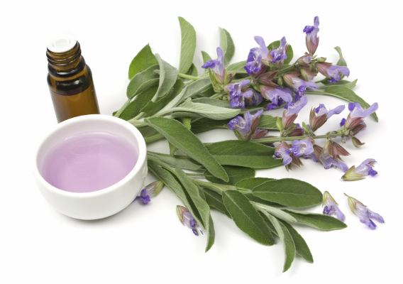 Aceite esencial de salvia