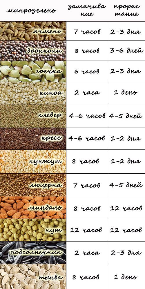 tabla de germinación de microverdes
