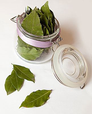 Laurinlehti