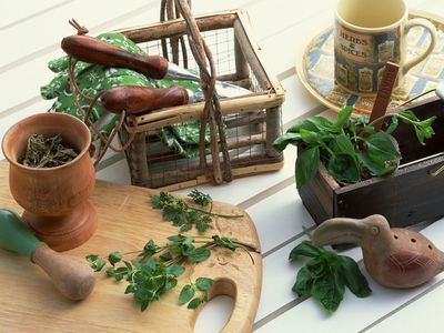 La mélisse en cosmétologie