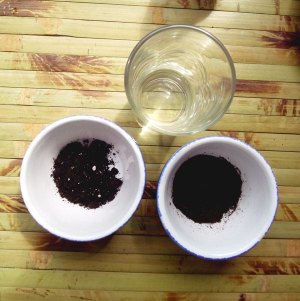 Vérification de l'acidité du sol