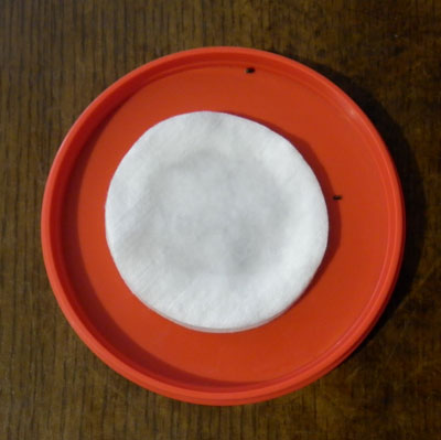 Stratification des graines dans le réfrigérateur