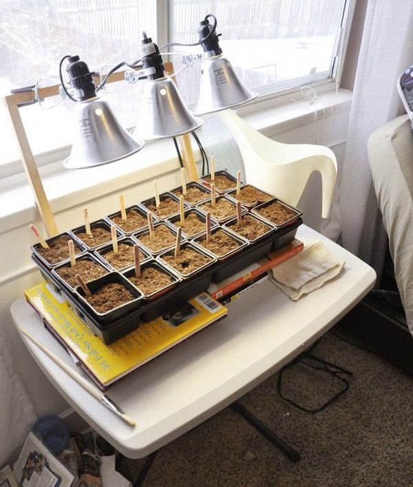 rasvjetna tijela za biljke