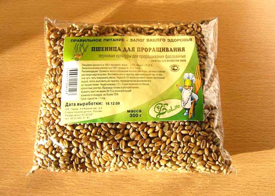 Pšenica za klijanje