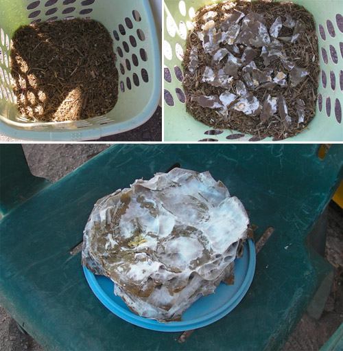 Kosár töltése szalmával és mikéliával. A tányéron házilag készült gombabária kartonból, amelyet fűzfával telepítettek. kosár töltése mikéliával és szalmával