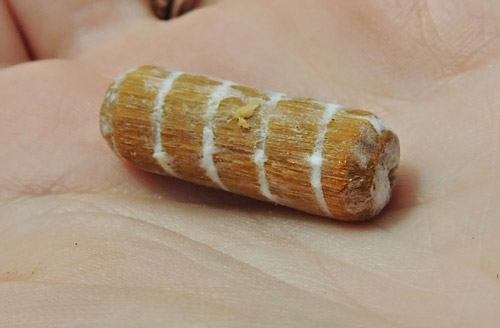 Gombás rúd préselt fűrészporból gombás rúd