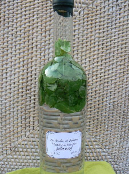 ecet portulákkal ecet portulákkal