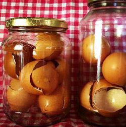 tojásszilárdból készült műtrágya