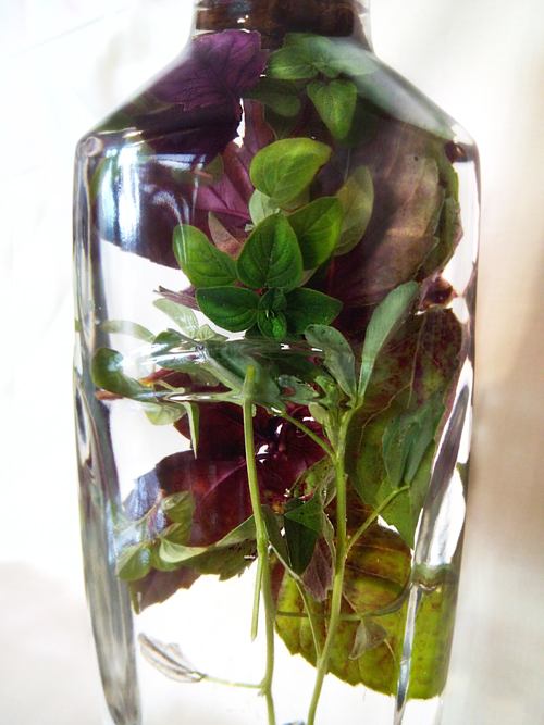 Cuka aroma dengan basil