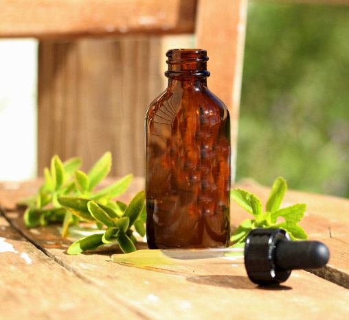 Estratto di stevia