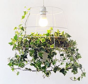 Illuminazione supplementare per piante