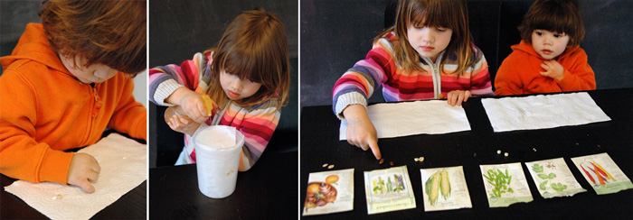 子供たちに植物について教える