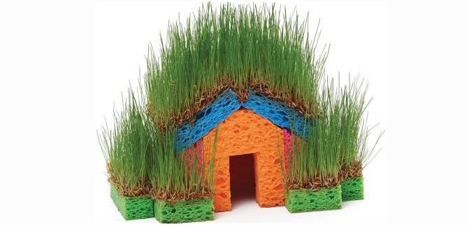 スポンジで作る発芽の家