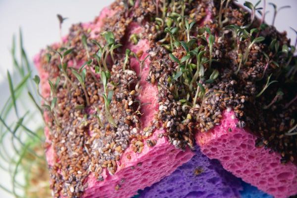 家庭での子供向けプロジェクト