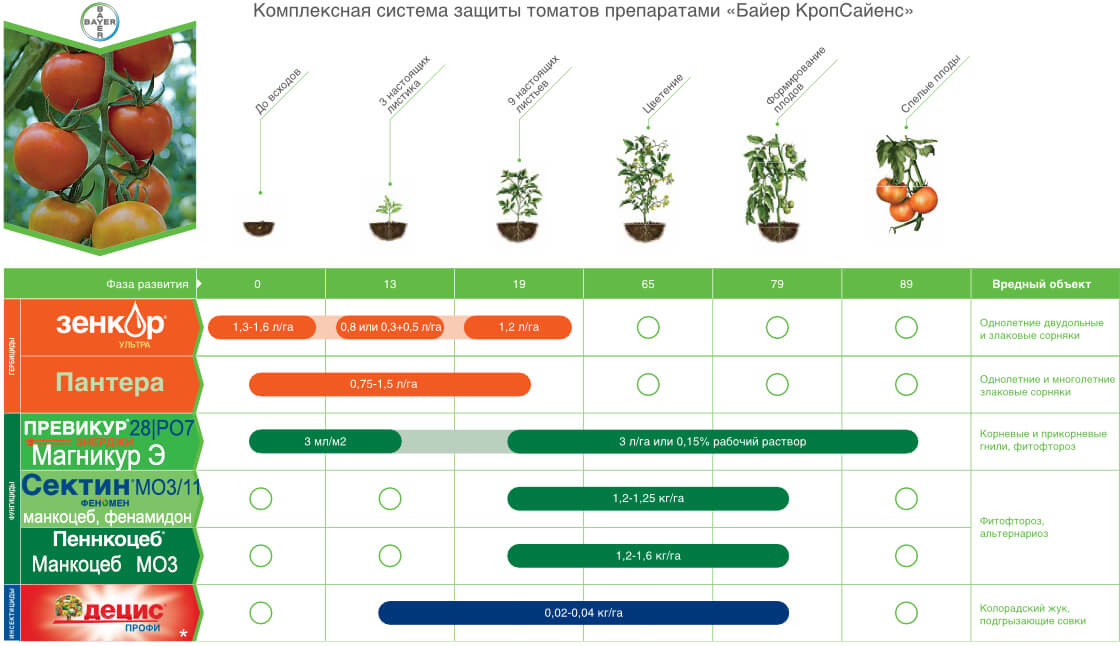 바이에르의 이전 스킴