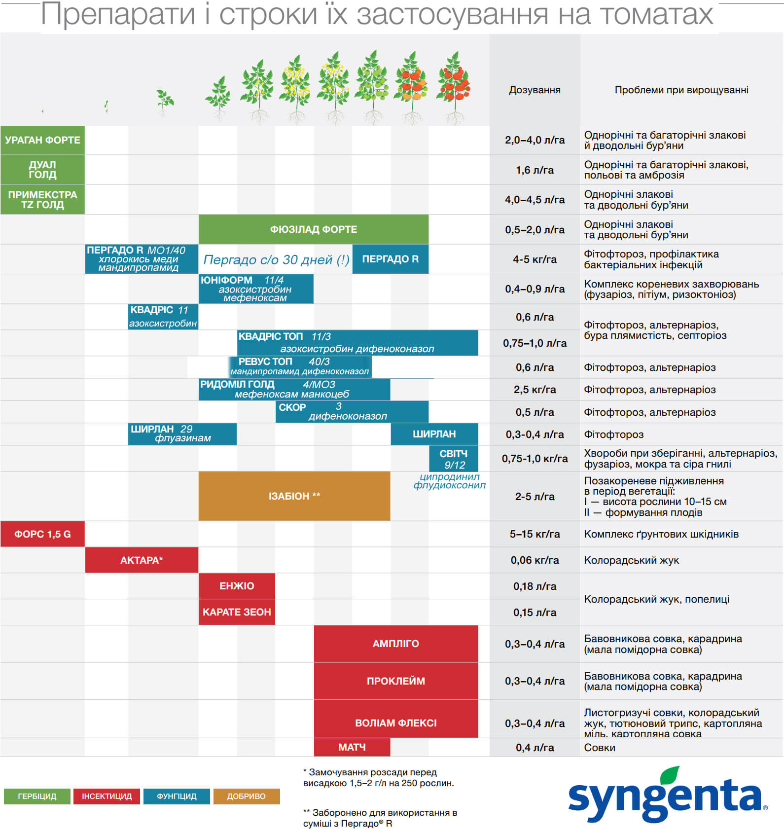 신젠타의 새로운 토마토 보호 스킴