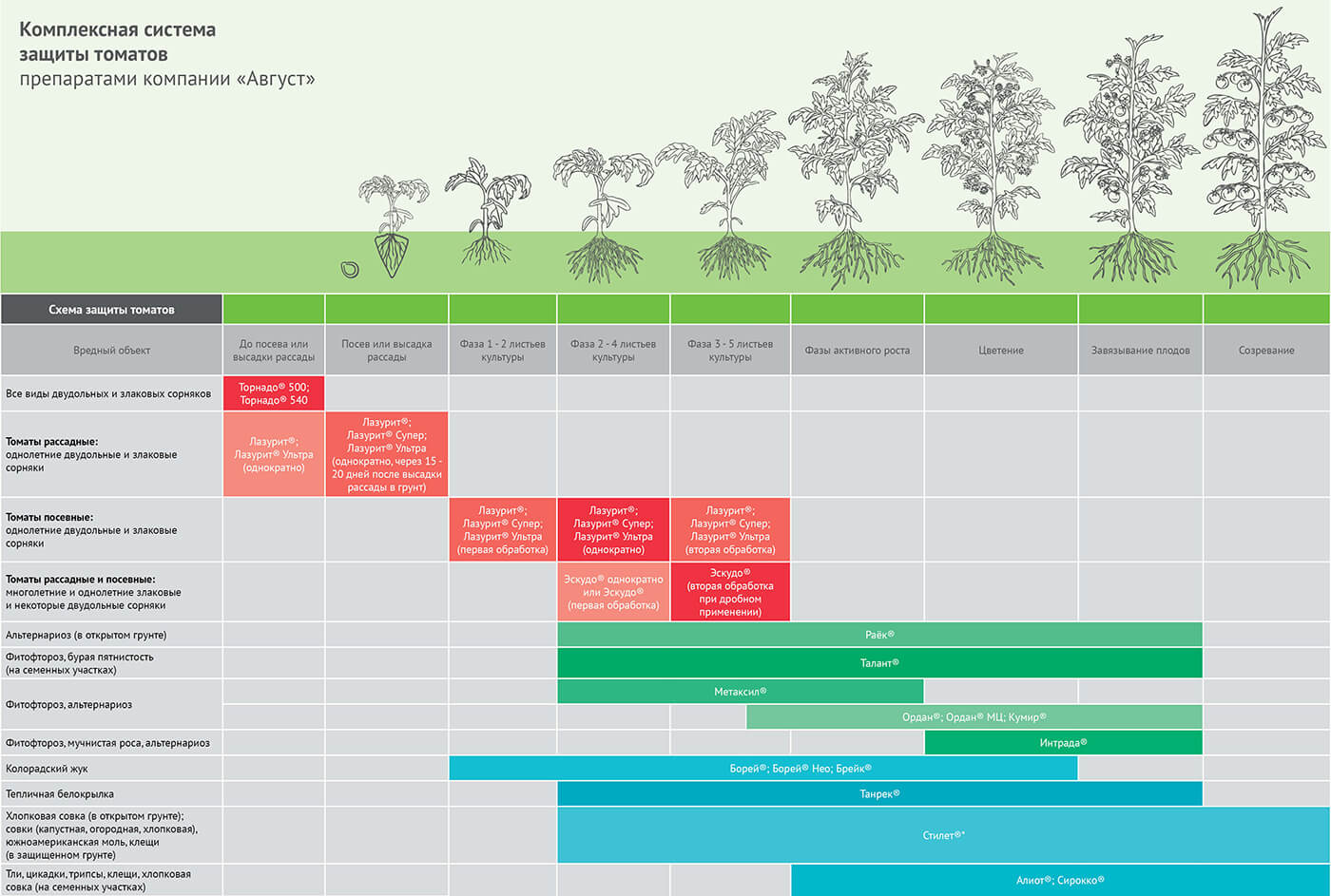AVGUST의 토마토 보호 시스템