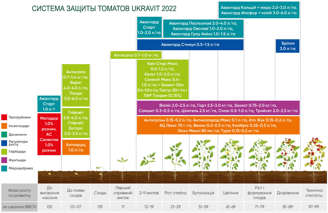 Ukravit의 토마토 보호 스킴