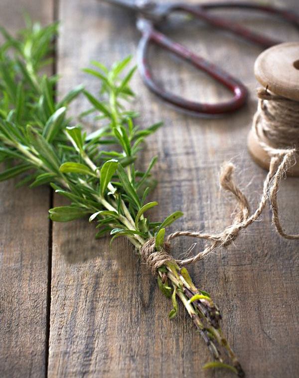 एस्ट्रागॉनचे गुणधर्म आणि फायदे