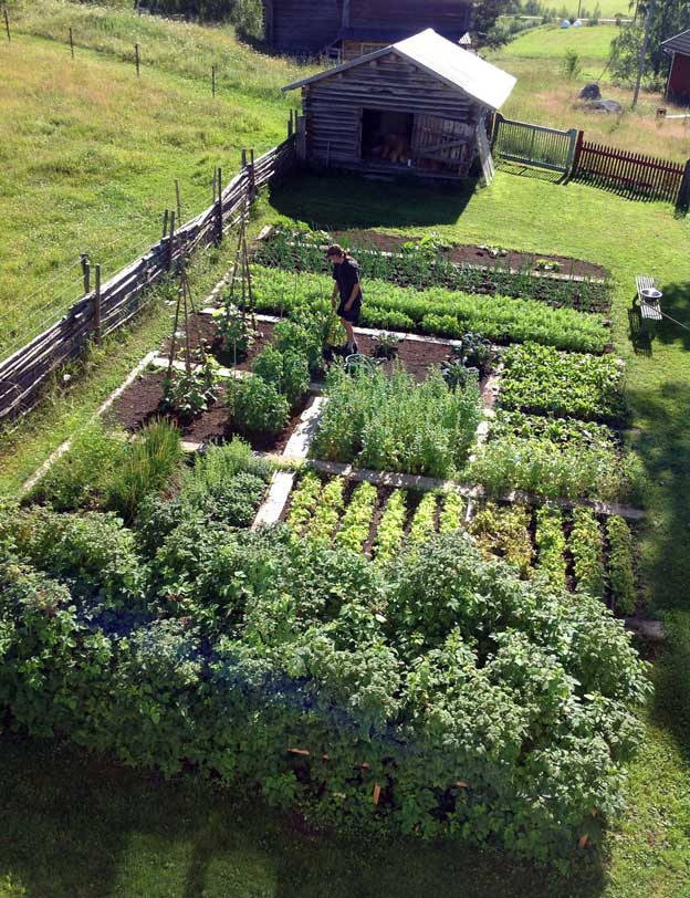 Stap voor stap is alles mogelijk Moestuin voor beginners