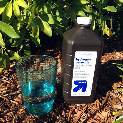 Waterstofperoxide voor planten