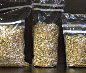 Mycelium på sagflis