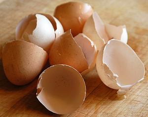 Eggeskall