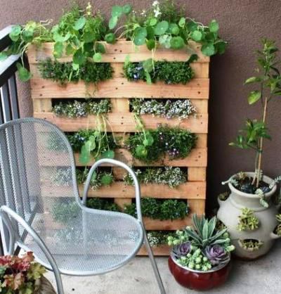 cultivo de plantas em paletes