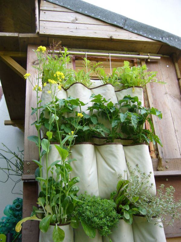plantação de plantas em sacos verticais