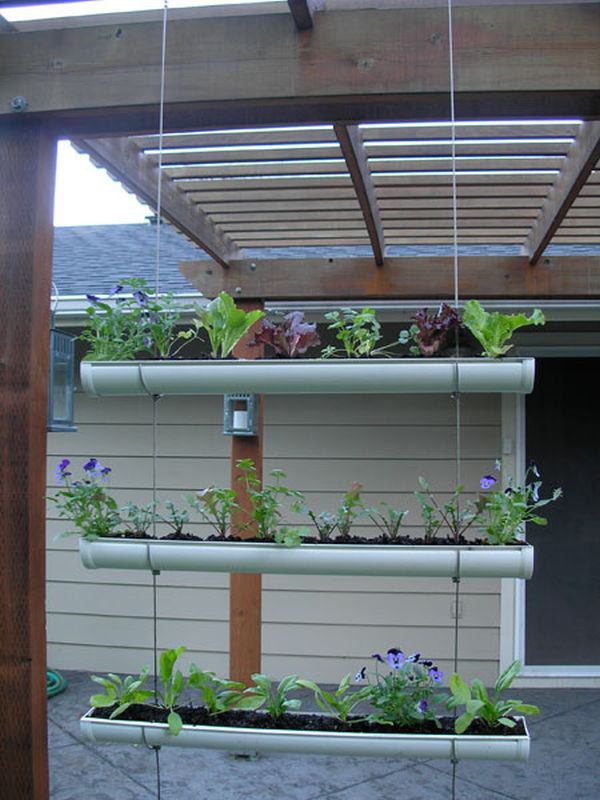 cultivo de plantas em tubos plásticos