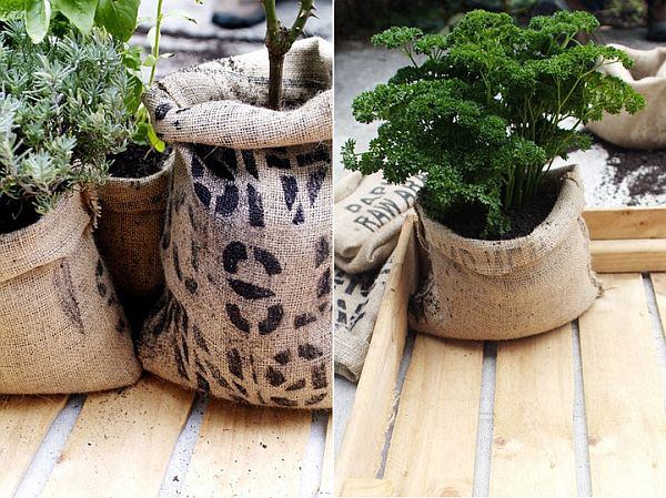 cultivo de plantas em sacos