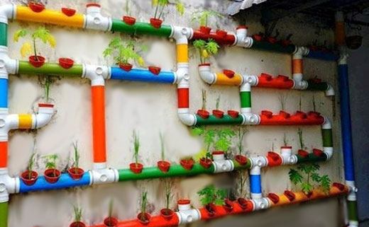 plantas em tubos plásticos