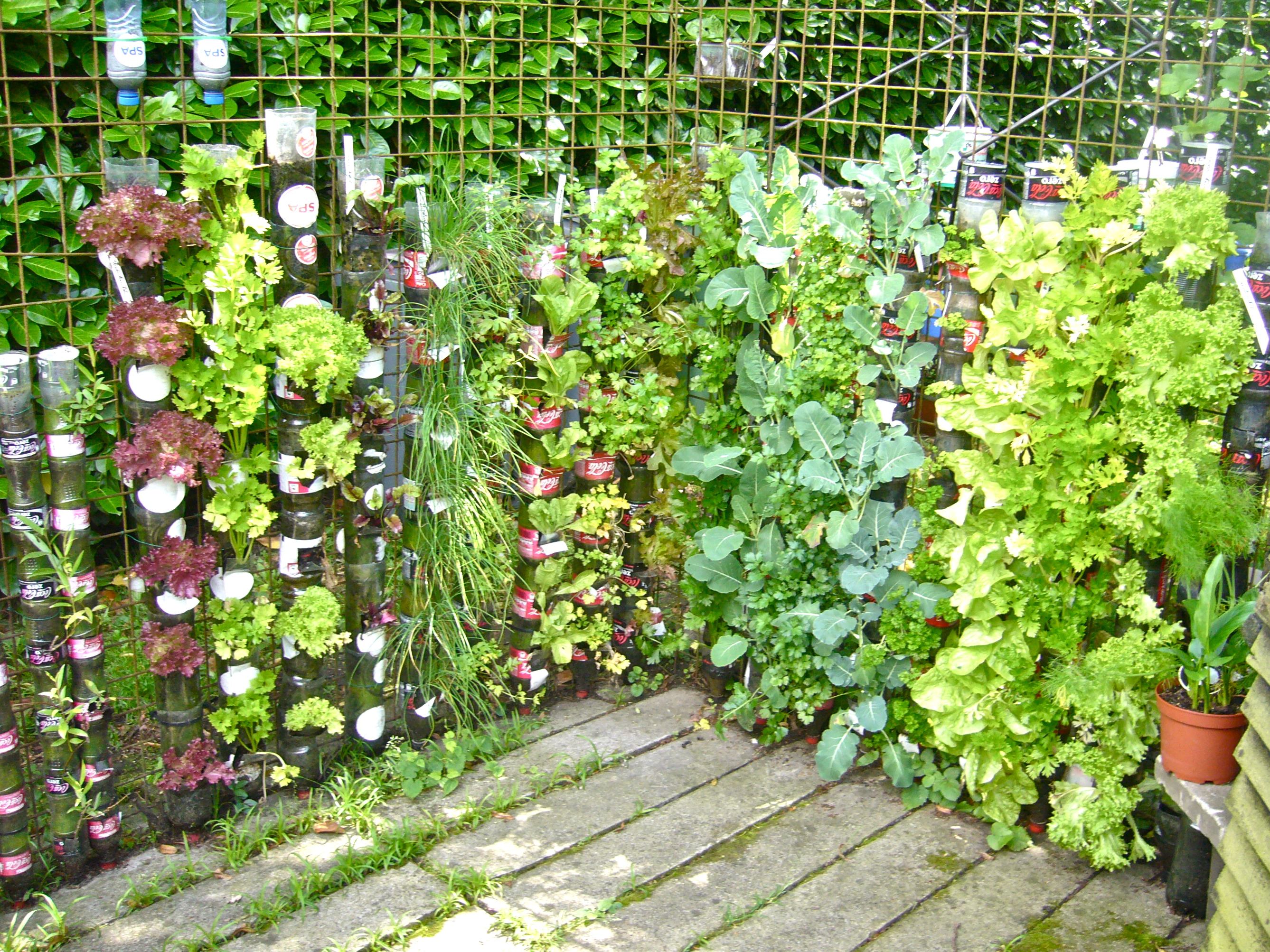 plasă pentru creșterea verticală a plantelor
