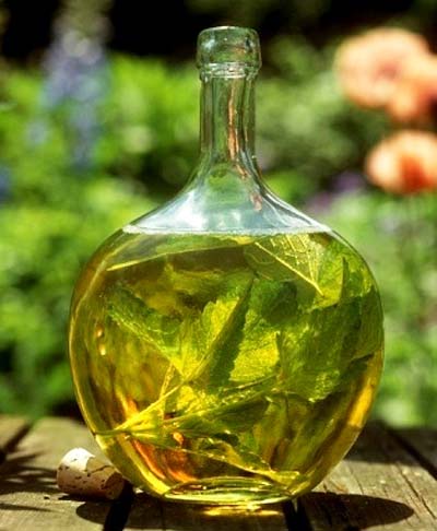 Citronmeliss i medicinen, citronmelissolja