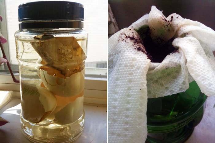 Компостний чай