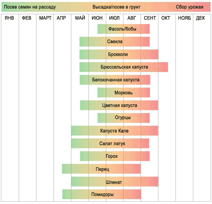 تیسرے زون میں کیا اگائیں
